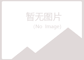 北川县山柳能源有限公司